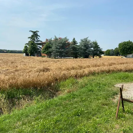 Campi Di Sole *